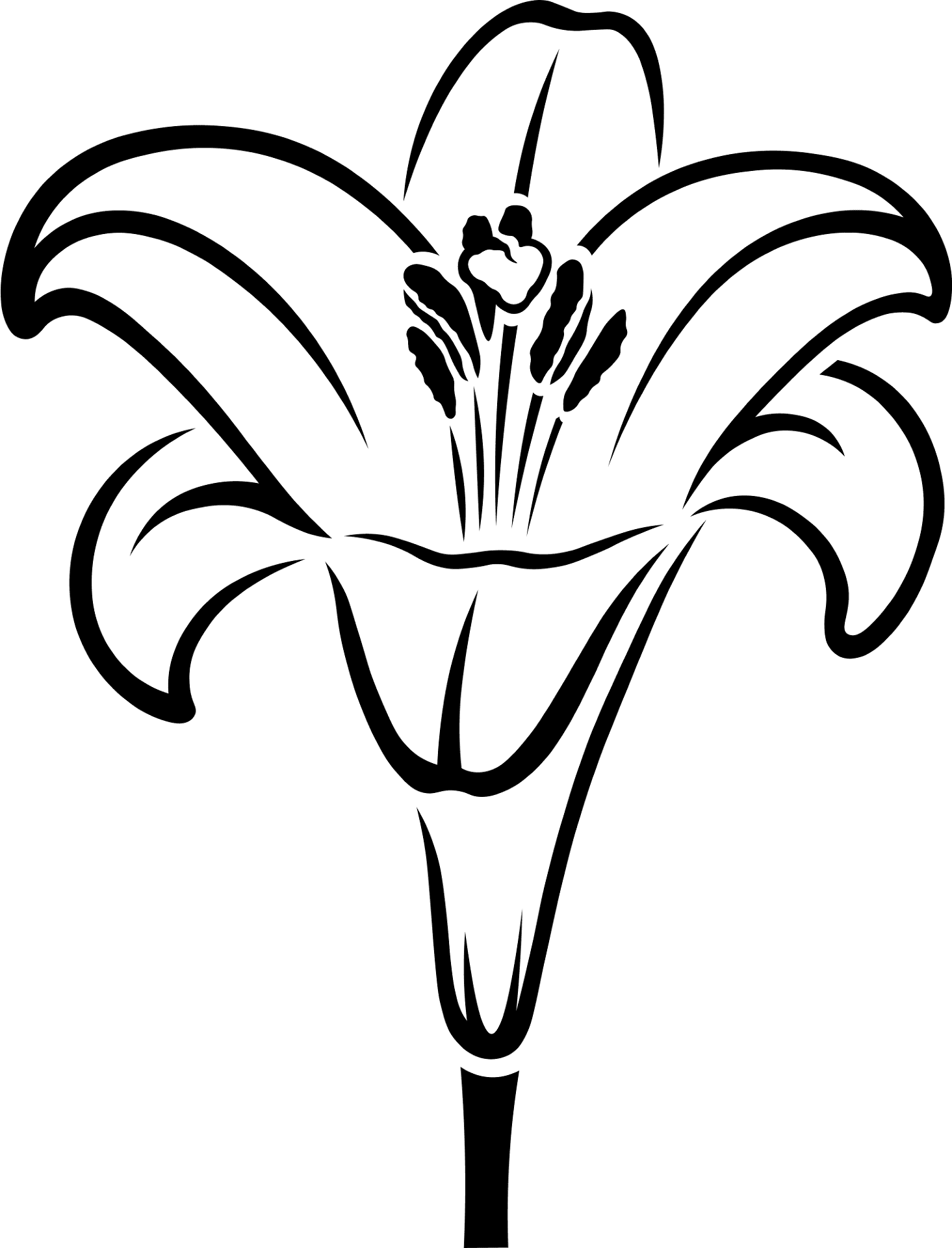 Easter Lily