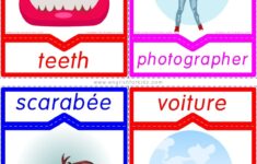 English French Flashcards
