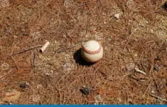 Fourth Of July Baseball How Americas Pastime Became A Patriotic Tradition