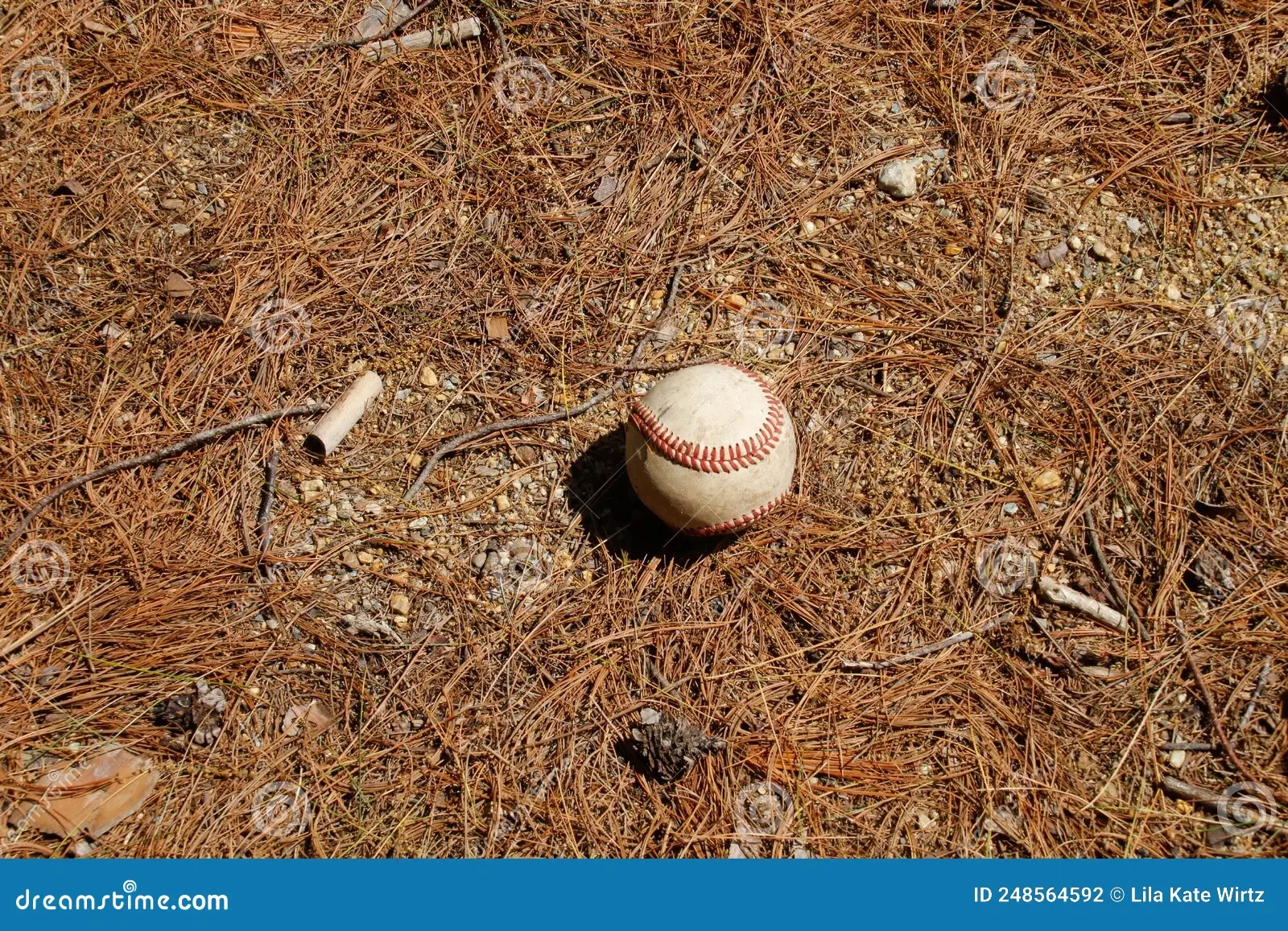 fourth of july baseball games history traditions tips fourth of july baseball games history traditions tips