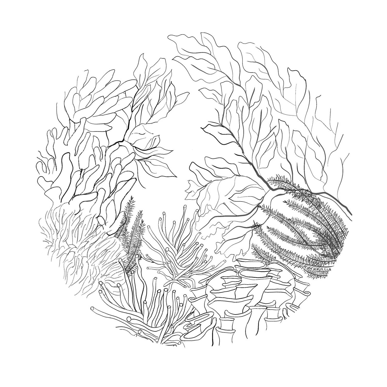 Free Art Templates