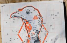 Free Download Turkey Target