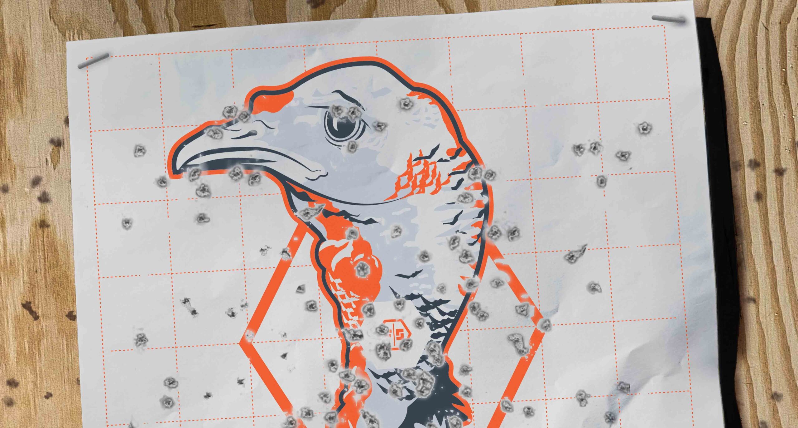 Free Download Turkey Target