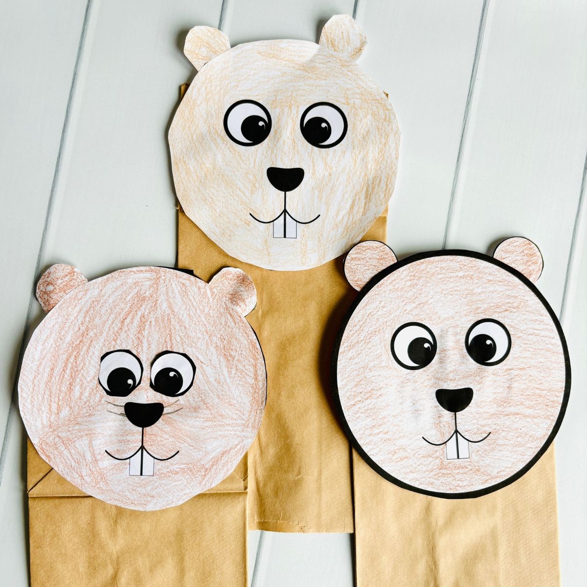Free Groundhog Paper Bag Puppet Printable