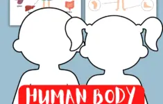 Free Human Body Printables For Kids