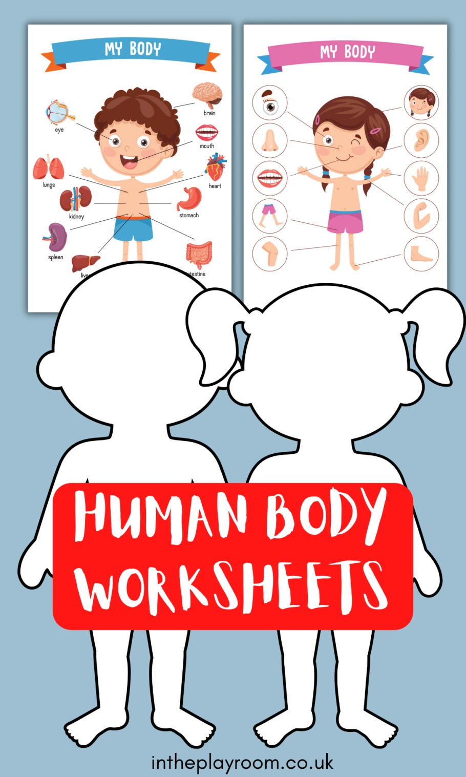 Free Human Body Printables For Kids Free Human Body Printables For Kids