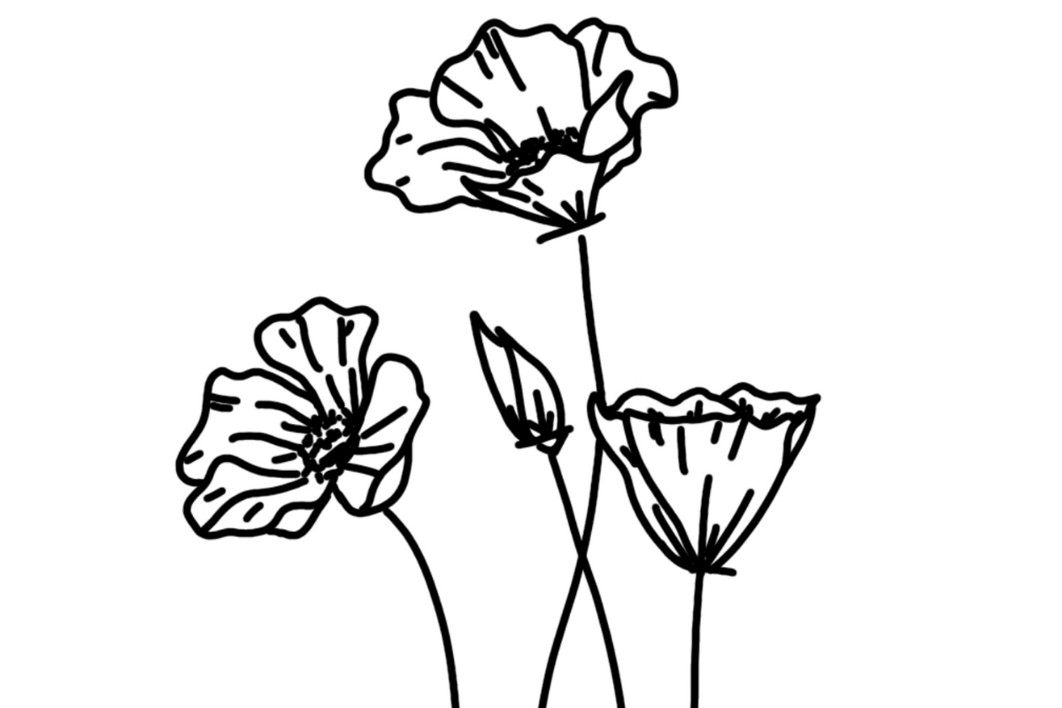 Free Poppy Pyrography Pattern Free Poppy Pyrography Pattern