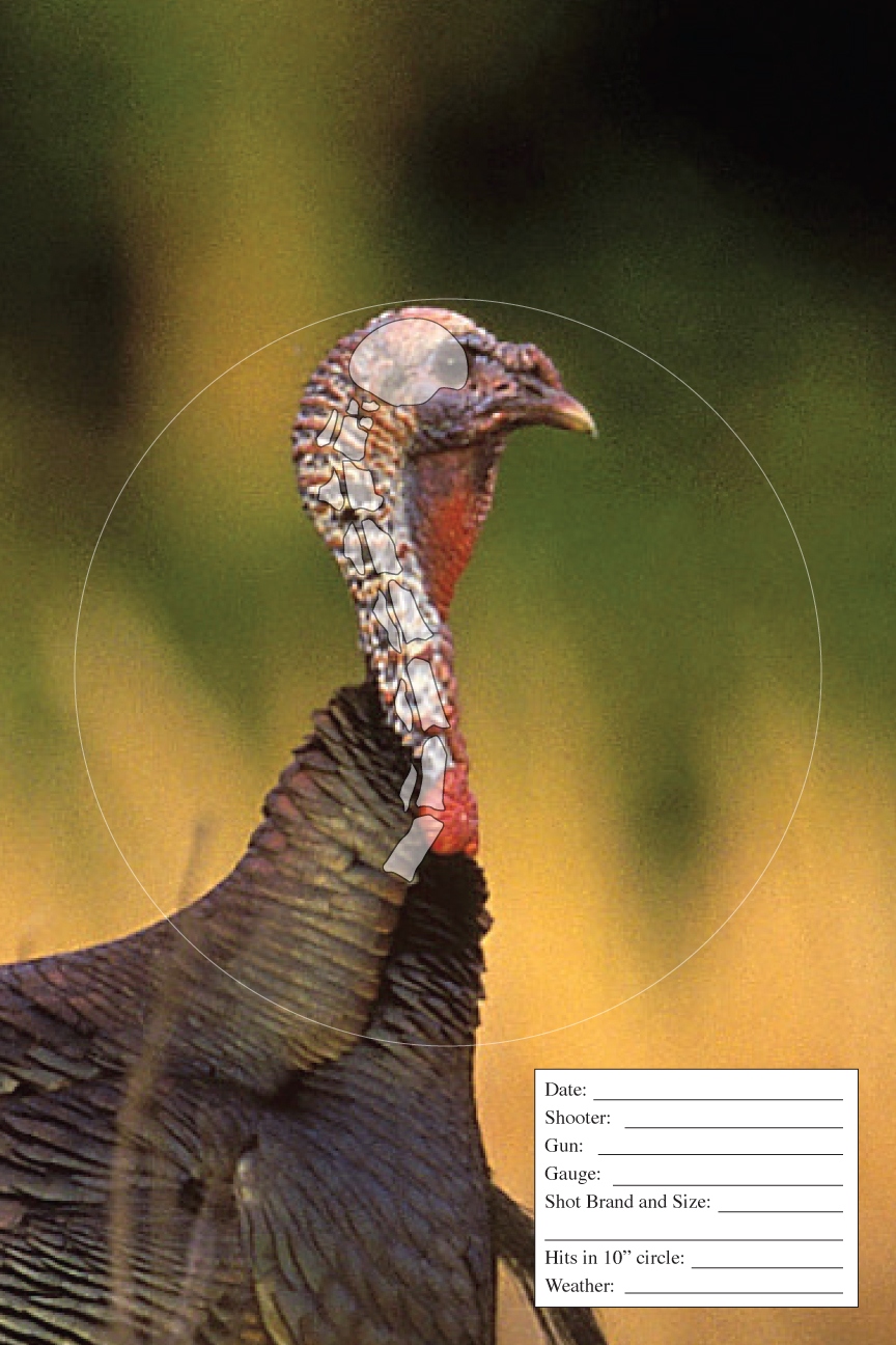 printable turkey targets for shooting