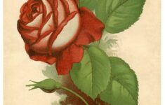 Free Wall Art Printables