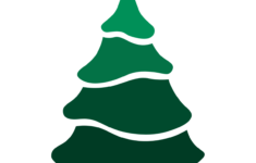 Green Christmas Tree