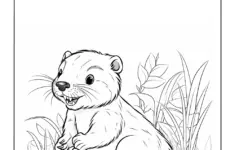 Groundhog
