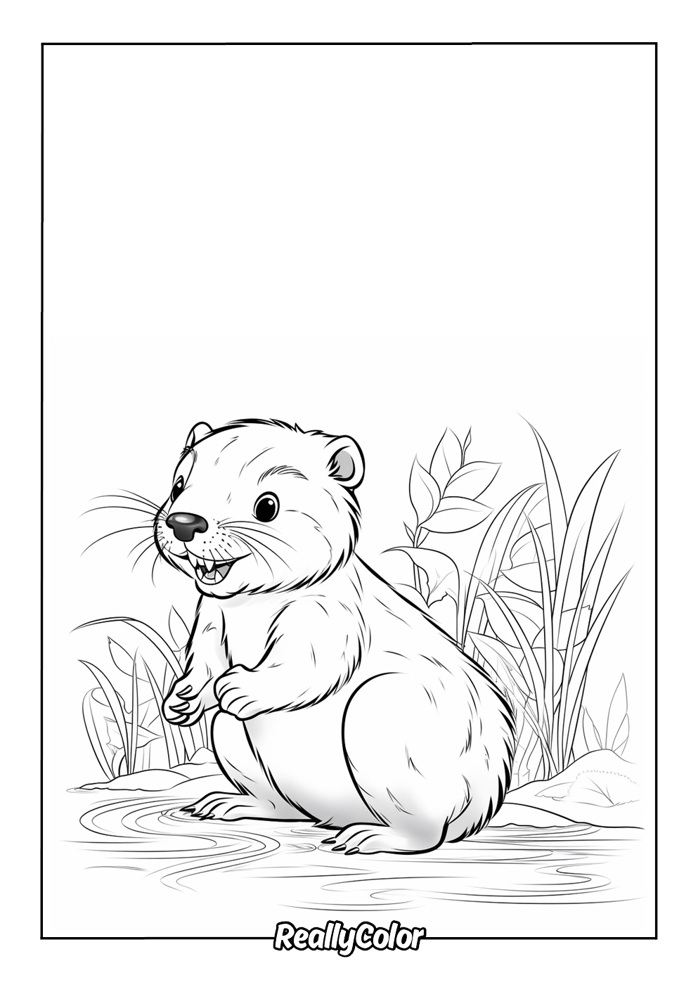 Groundhog Groundhog