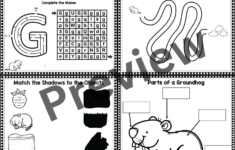 Groundhog Day Activities And Worksheets No Prep For Prek K And 1st Grade