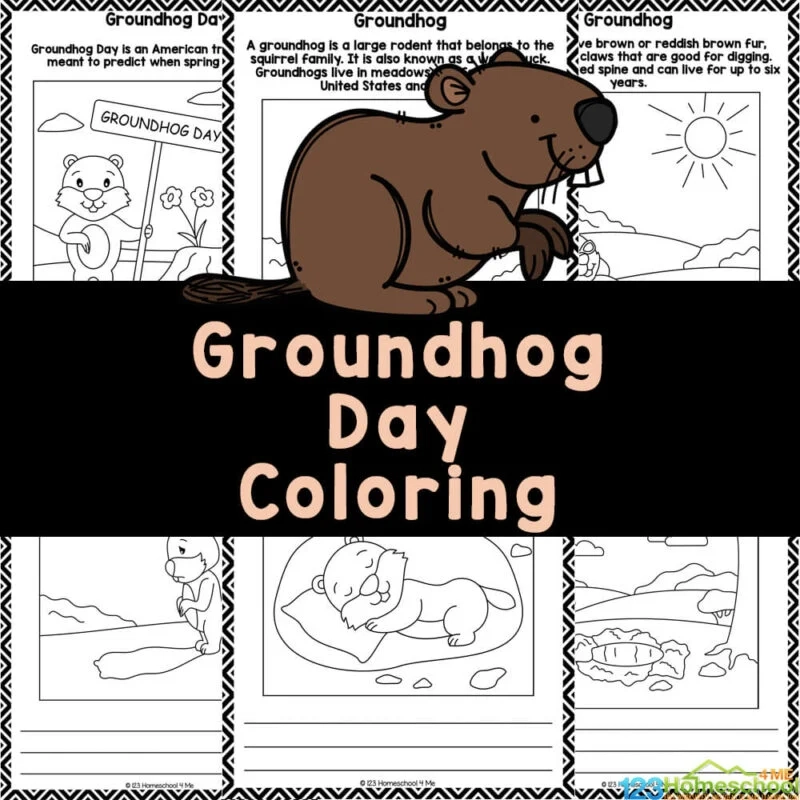 printable pictures of groundhogs printable pictures of groundhogs