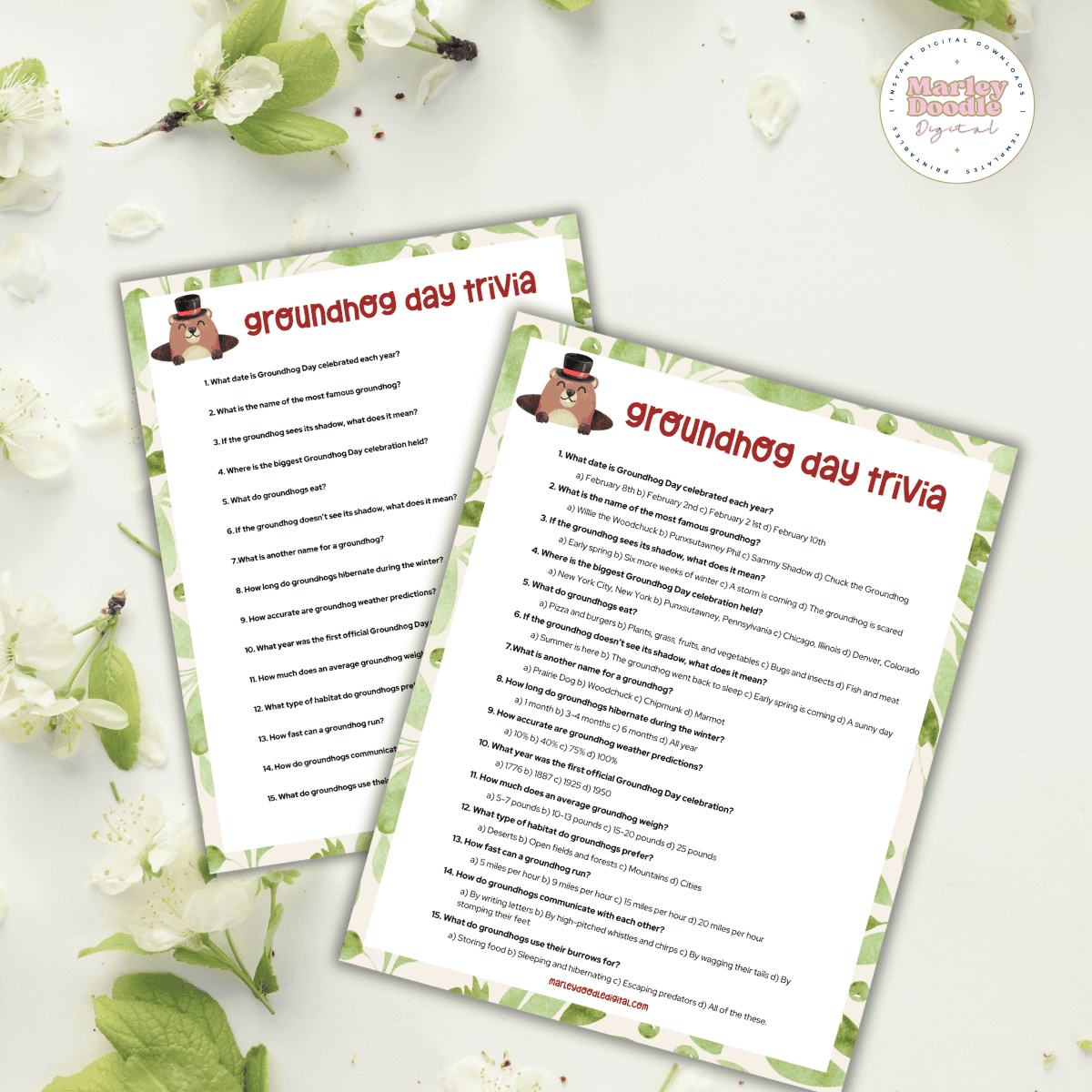 Groundhog Day Trivia Printable Groundhog Day Trivia Printable