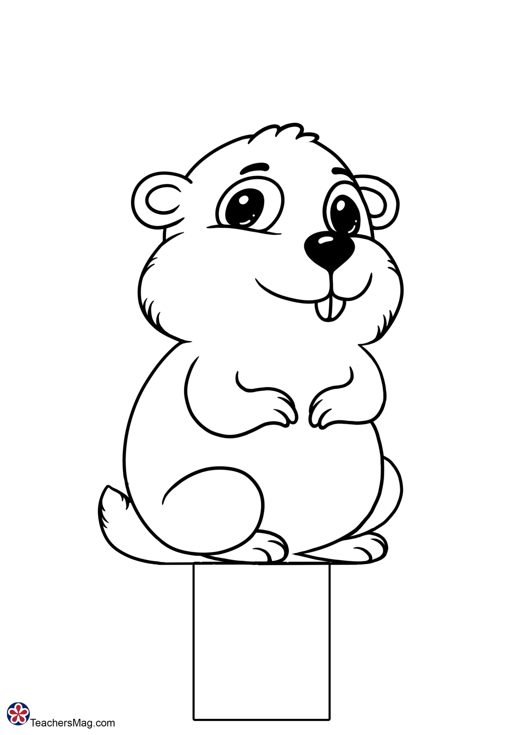 Groundhog Face Template