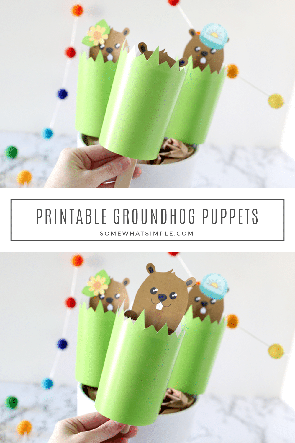 Groundhog Stick Puppet Craft
