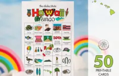 Hawaii Bingo 69587