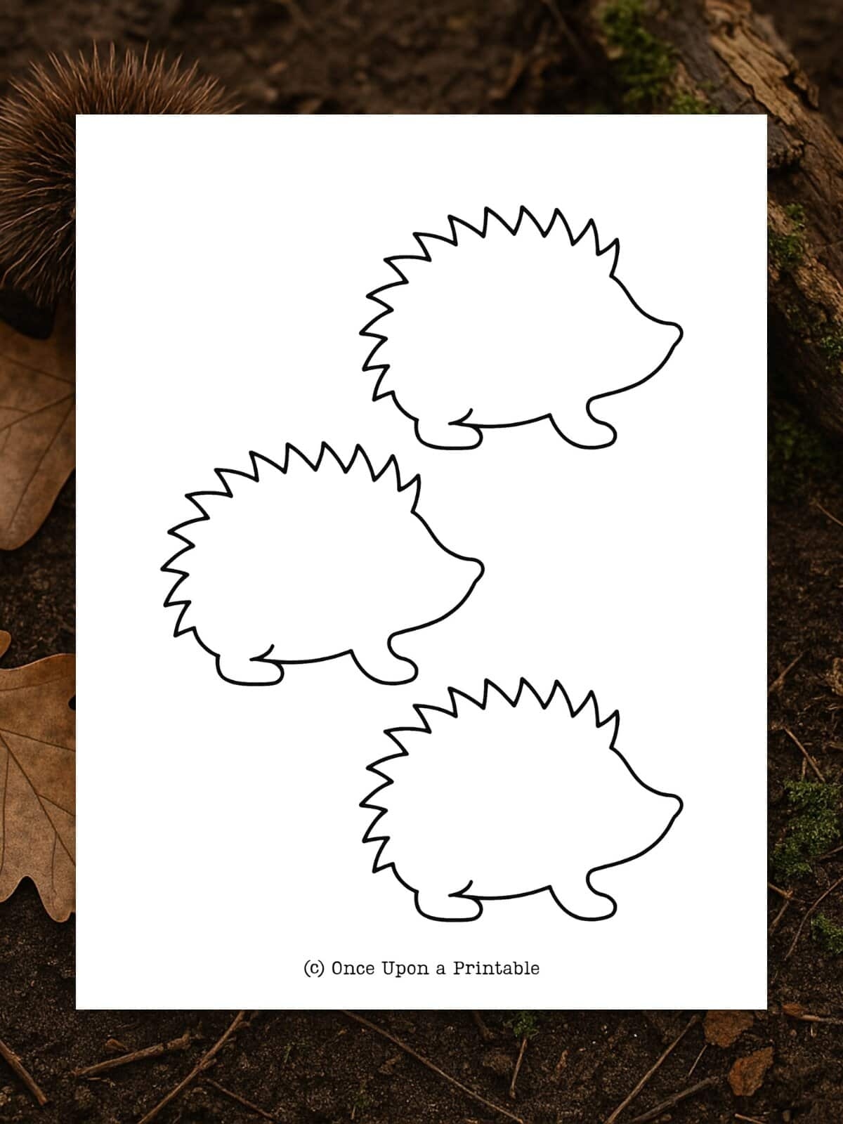 free printable hedgehog template free printable hedgehog template