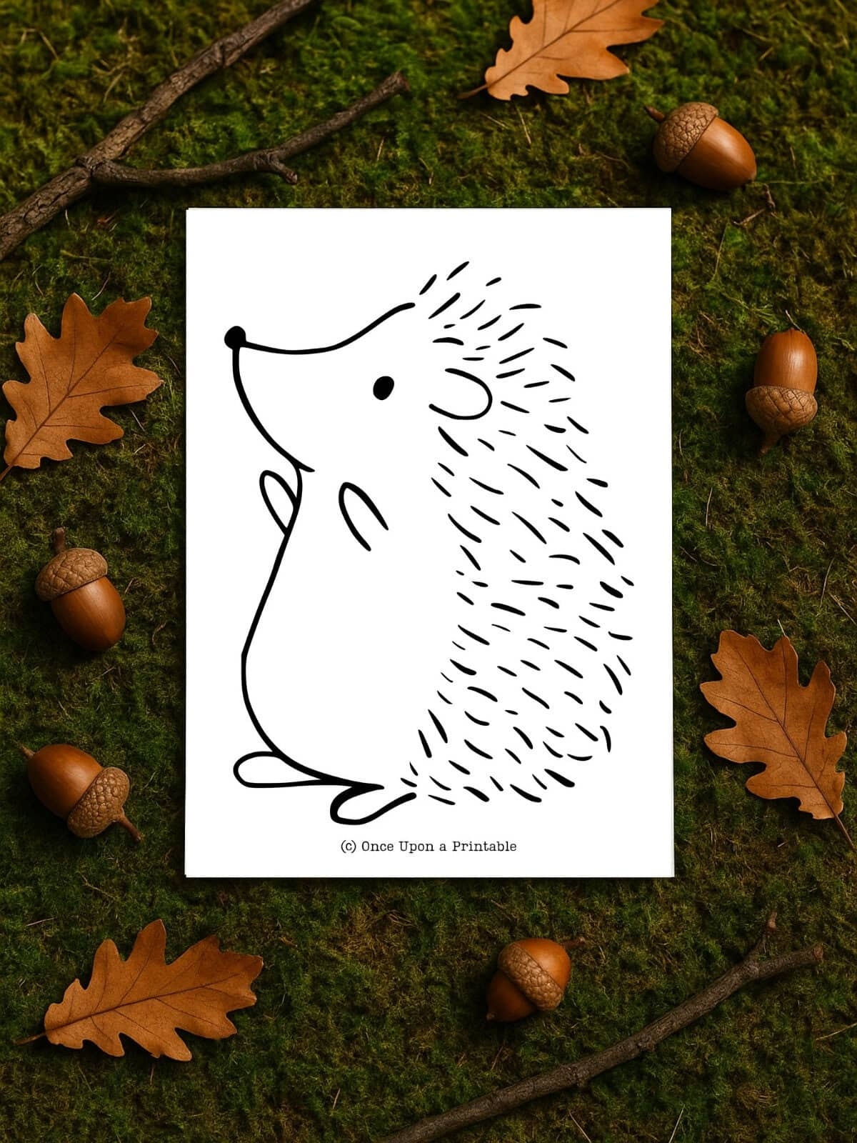 Hedgehog Templates Hedgehog Templates