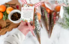 Homemade Christmas Potpourri