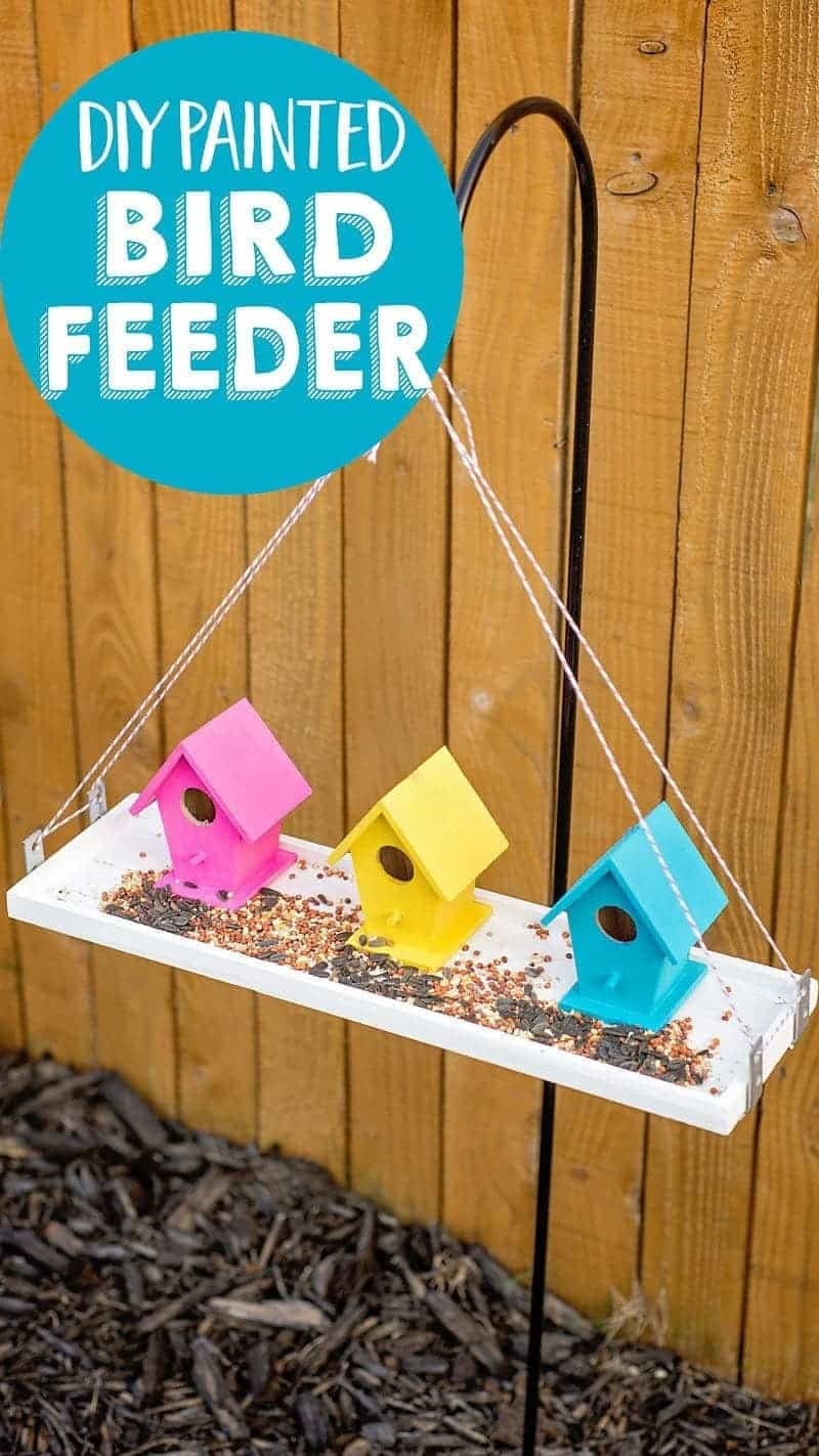 How To Make A Bird Feeder How To Make A Bird Feeder