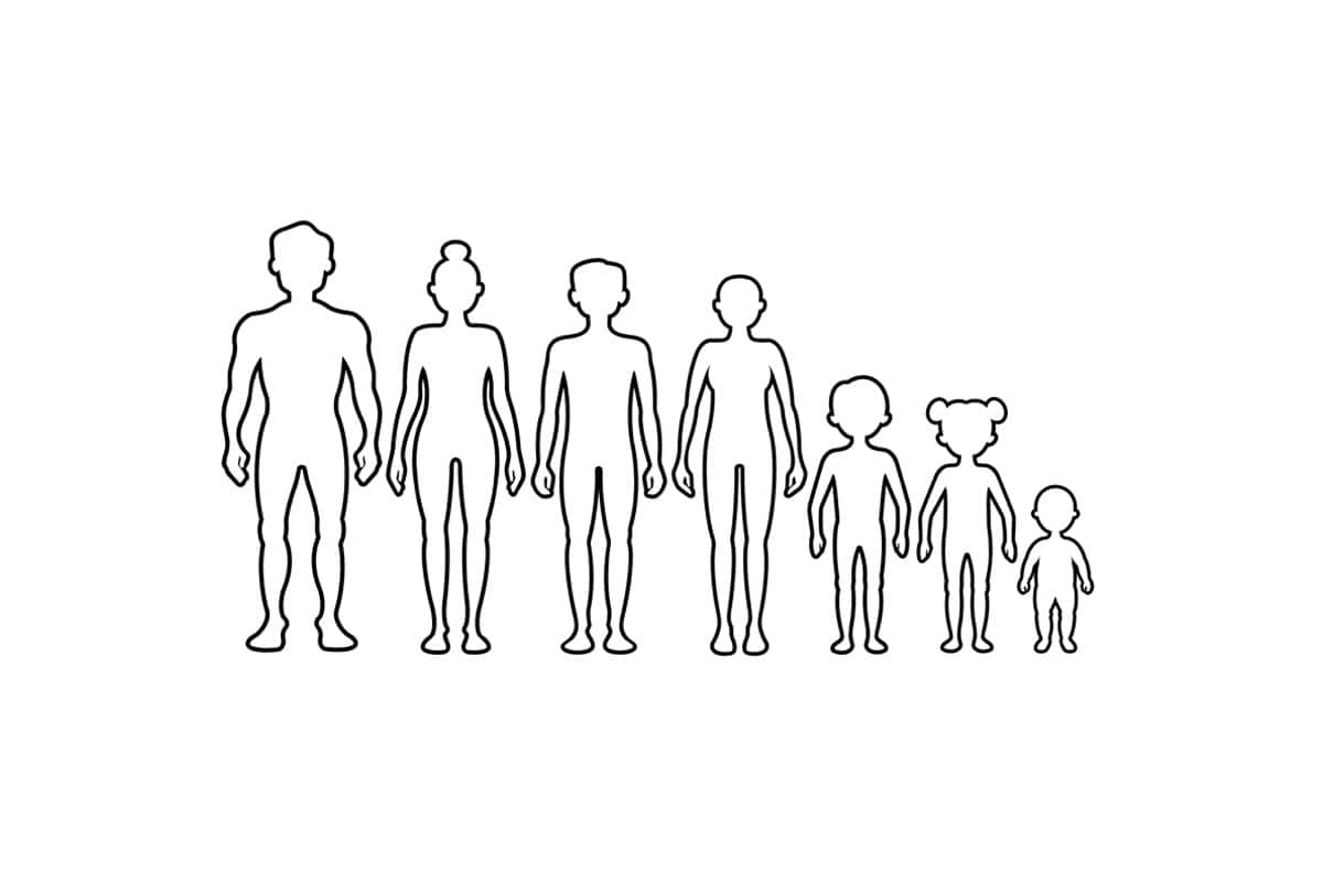 Human Body Outline Human Body Outline