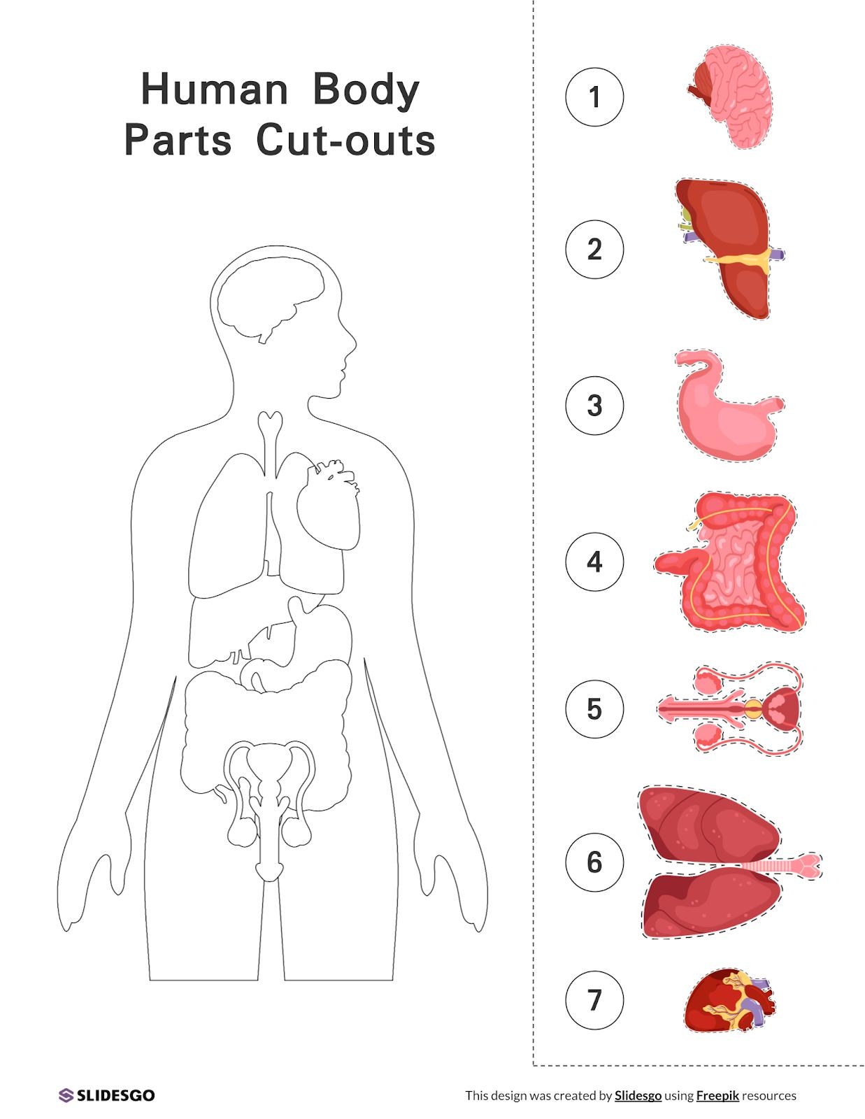 Human Body Parts Cut Outs Human Body Parts Cut Outs