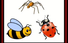 Insect Bug Spider Themed Free Preschool
