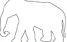 Jungle Animal Patterns