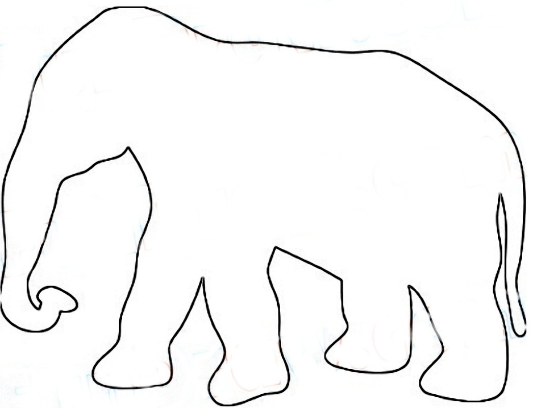 Jungle Animal Patterns