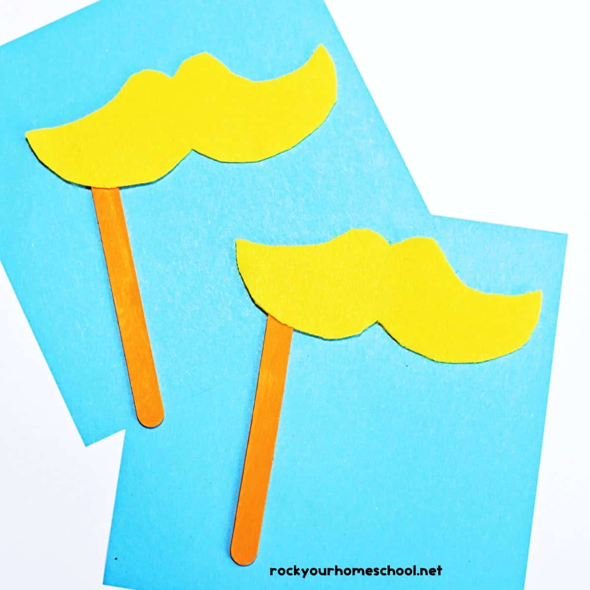 Lorax Mustache Craft