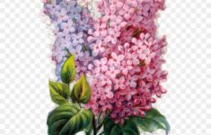 M2H7i8d3m2d3H7G6 Note Paper Decoupage Paper Painting Flowers Vintage Decoupage
