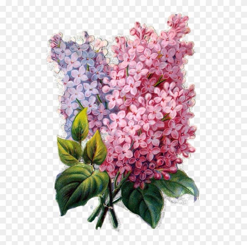 M2H7i8d3m2d3H7G6 Note Paper Decoupage Paper Painting Flowers Vintage Decoupage M2H7i8d3m2d3H7G6 Note Paper Decoupage Paper Painting Flowers Vintage Decoupage