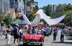 Marin Voice From Parades To Picnics Countys July Fourth Legacy All About Community