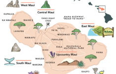 Maui Maps