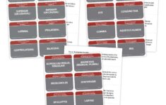 Medical Terminology Class Kit