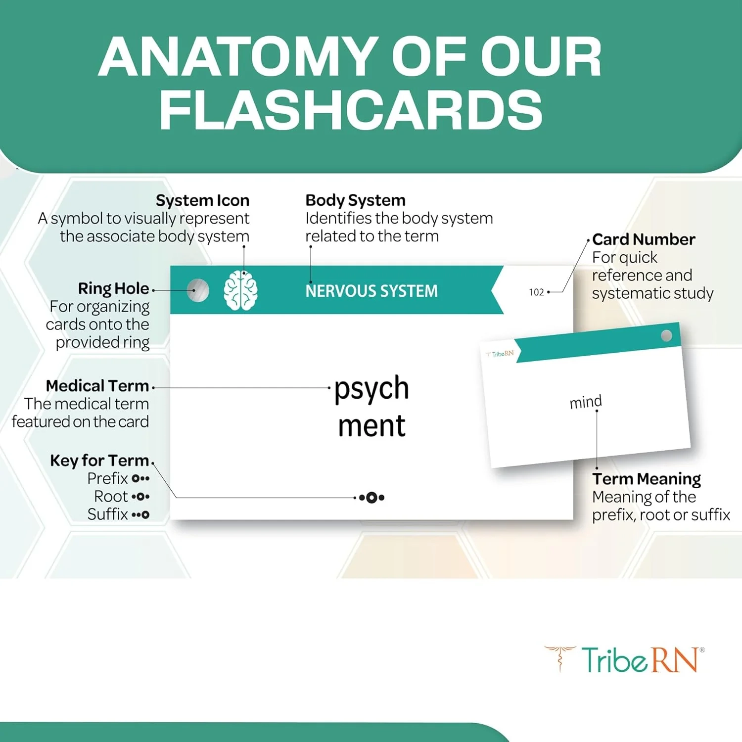 Medical Terminology Flashcards 500 Double Sided Cards