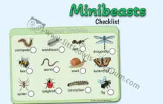 Minibeasts Checklist