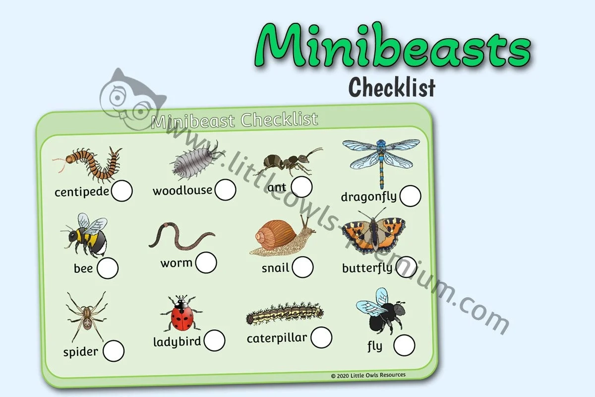 Minibeasts Checklist