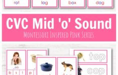 Montessori Pink Series Beginning Reading