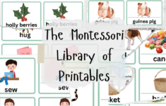 Montessori Printables
