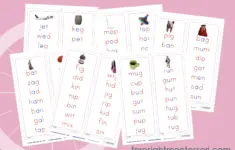 Montessoripinkreadingseries