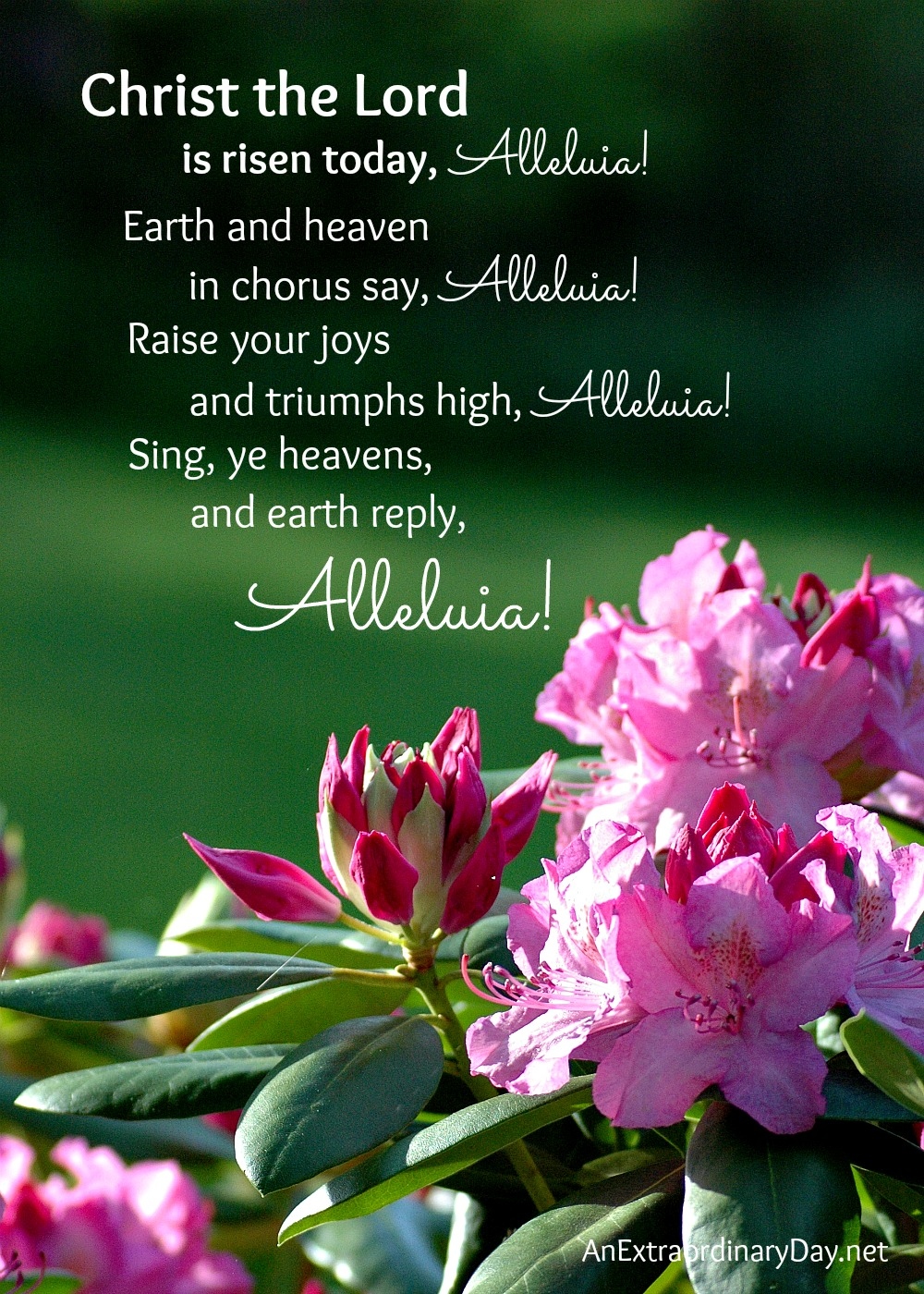 My Favorite Easter Hymn Joy Day My Favorite Easter Hymn Joy Day