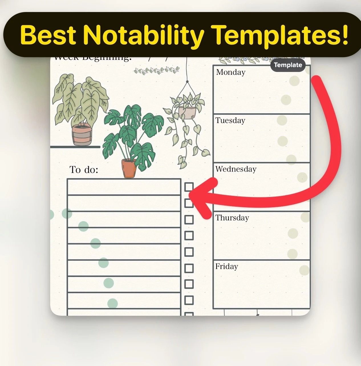 Notability Templates