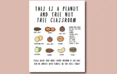 Nut Free Classroom Sign