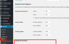 Organizar Contenidos Wp Content
