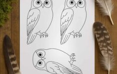 Owl Template