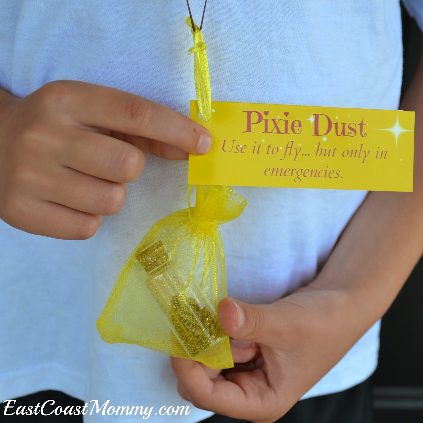 Pixie Dust Pouches With Free Printable