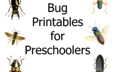 Preschool Insect Theme Printables